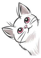 drawing of a peeking kitten or cat without background