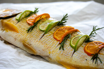 Wonderful Brazilian freshwater fish  or Salminus maxillosus known as dourado, the king of the river