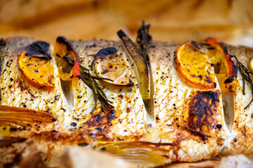 Wonderful Brazilian freshwater fish  or Salminus maxillosus known as dourado, the king of the river