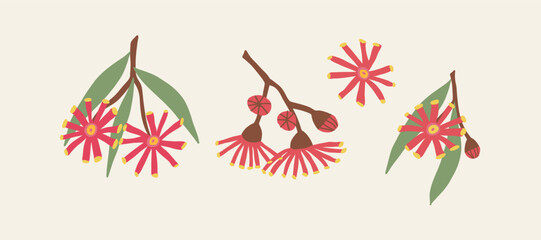 Set of abstract vector Australian native eucalyptus © Maria