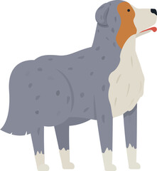 Illustration of a blue merle australian shepherd standing with its tongue out