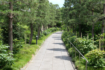 鎌倉,建長寺の参道
