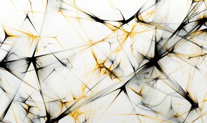 Abstract pattern of black and gold abstract lines on a stark white background