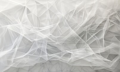 Delicate lines forming an intricate web on a white canvas