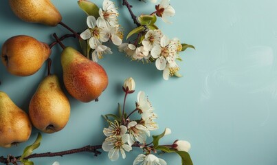 Fresh pears with blooming branches on a pale blue backdrop