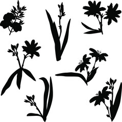 garden flower black seven silhouettes on white