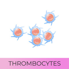 Thrombocytes, platelets. Isolated vector icon