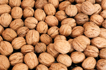walnut, food, nuts, walnuts, nature, organic, delicious, natural, healthy