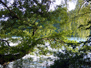 Impressions of the beautiful Garder See near Lohmen (Germany)