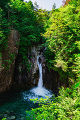 Naklejka premium 柿其渓谷 牛ヶ滝