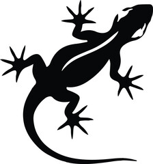 A lizard vector image