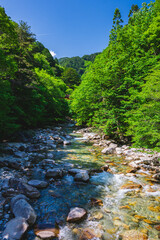 初夏の柿谷渓谷　柿其川