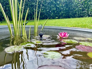 lily of the valley © Tobias