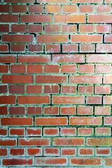 Red brick wall slightly overgrown with moss