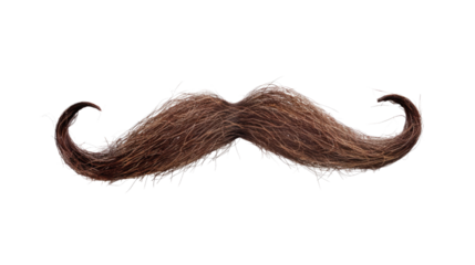 Mustache on a transparent background