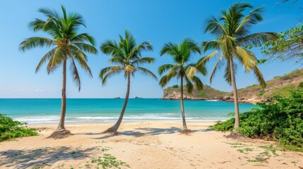 Fototapeta premium Palm Trees on a Tropical Beach: A picturesque view of tall palm trees swaying over a pristine, sandy beach with clear blue water in the background. 