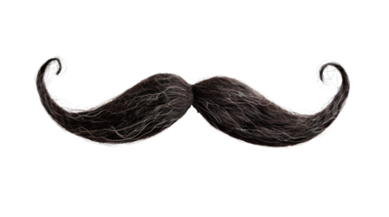 Mustache on a transparent background