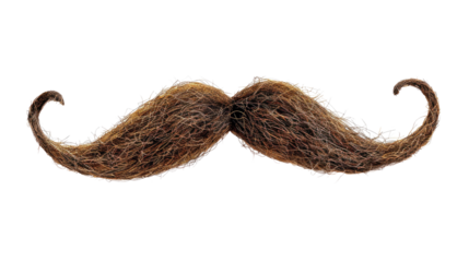 Mustache on a transparent background
