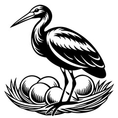 stork-bird-sits-on-eggs-silhouette