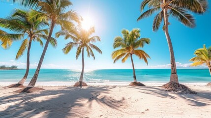 Palm Trees on a Tropical Beach: A picturesque view of tall palm trees swaying over a pristine, sandy beach with clear blue water in the background. 