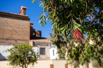 house in an old town