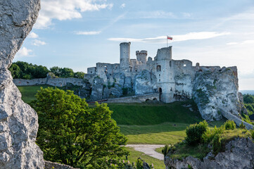 Fototapete bei efototapeten.de bestellen   