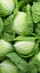 Fototapeta premium Cabbage Greenery, Texture Background Abstract Image Pattern, For Wallpaper, Background, Cover and Screen of Cell Phone, Smartphone, Computer, Laptop, Format 9:16 and 16:9 - PNG