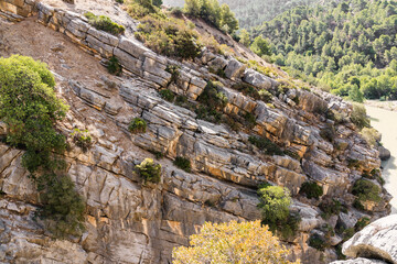 canyon in the mountains