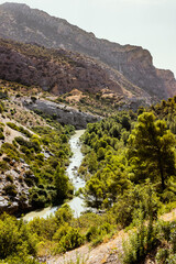 mountain river in the mountains