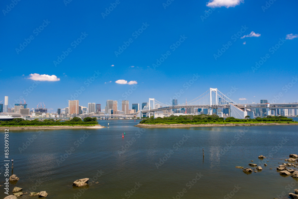 Wall mural 東京都港区 お台場海浜公園、展望デッキから見るレインボーブリッジ