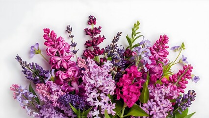 Obraz premium Purple summer flowers on white background