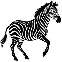 zebra-in-action-silhouette-isolated-on-white-backg