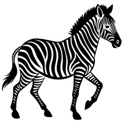 zebra-in-action-silhouette-isolated-on-white-backg