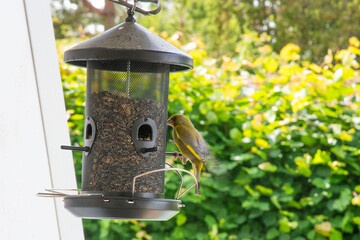 bird house on a tree