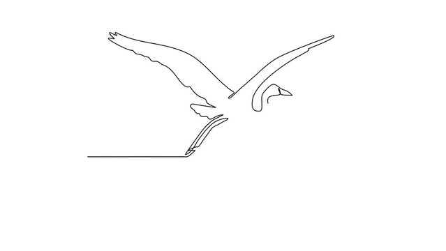 Animated self drawing of Heron video design illustration. Poultry and bird animal themes in simple continuous line design concept. Poultry refer to domesticated birds raised for their meat, eggs.