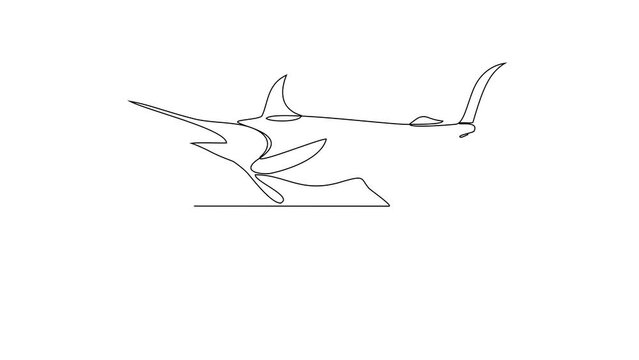 Animated self drawing of Marlin video design illustration. Fish animal themes in simple continuous line design video concept. Fish are aquatic vertebrates live in water and breathe through gills.