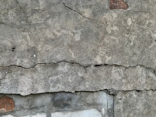 Cracked concrete surface small plant growing damaged wall texture outdoor
background surface