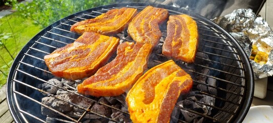 Grilled slices on pork on coal grill in summer
