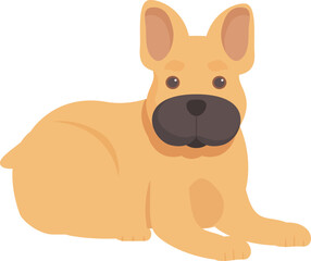 Cute brown french bulldog puppy lying on the floor, enjoying a moment of calm