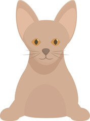 Adorable abyssinian cat with its distinctive ticked coat, sitting and looking forward