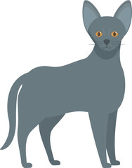 Gray russian blue cat standing, an elegant and graceful breed known for its distinctive blue gray coat