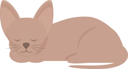 Cute brown cat lying down with its eyes closed, resting on a white background