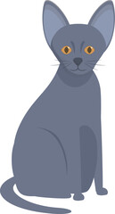 Adorable grey cat sitting calmly with bright yellow eyes, perfect for pet related projects
