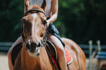 Close-up of a woman riding a horse outdoors, showcasing equestrian activities in a natural setting.