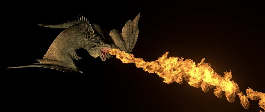 Realistic dragon breathes fire on a black background with alpha channel.