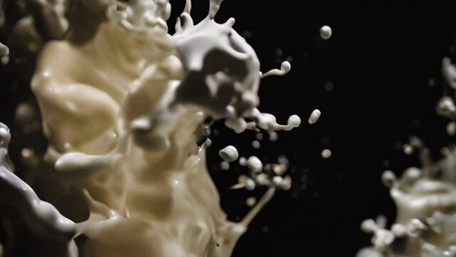 milk splash on blak background