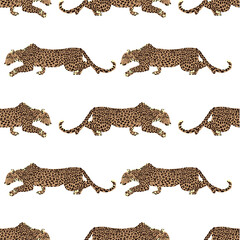 Abstract Seamless Leopard Pattern on a White Background