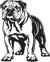 Bulldog standing silhouette vector illustration line art and clip art