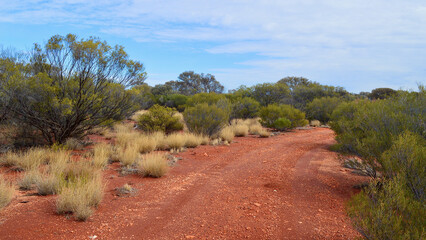 A view of a red dirt road in outback South Australia. 