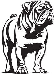 english bulldog portrait, Bulldog standing silhouette vector illustration line art and white background